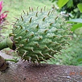 ac256e91a06f0252a489280714df78e7