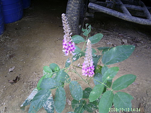 a7dac2e645e15800df028a0d43dcbd61