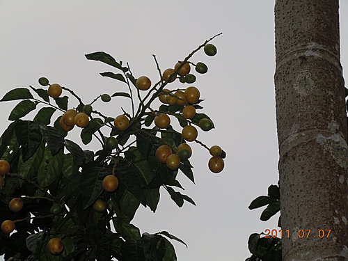 f3e36a563acac3dcdb6732d7217173a0