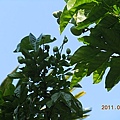 96a6e6ef926529bcfdb2e6eb0128a2aa