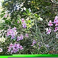 1c0a0660b3a17db1b371a2b3cf623570