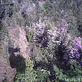 780770ba2ed70f55b37c079ec97105c1
