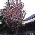 1f69ae96296b4549b982c3e57d3f4687