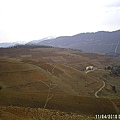 c038e97885ef4ef1a88cdcc89c9f70eb