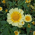 b2ce86e06149e771cdb6f79b225f40ee