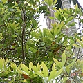 e83435196123710e033e7fd232bd77b2