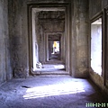 DIGI0285