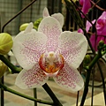 P4230020
