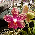 P4230023
