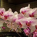 P4230030