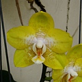 P4230034