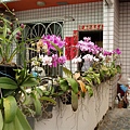 P4230012