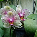 P4230036