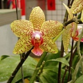 P4230038