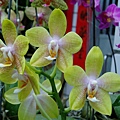 P4230033