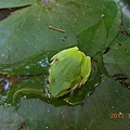 DSCN1547
