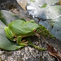 DSCN1544