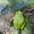 DSCN1543