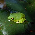 DSCN1545