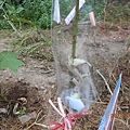 DSCN1362