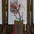 DSCN9919