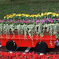 DSCN9913