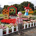 DSCN9931