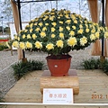 DSCN9926