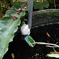 DSCN1689