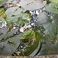 DSCN1643