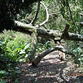 DSCN2861
