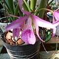 DSCN1758