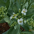 DSCN1780