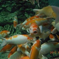 DSCN1918