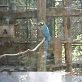 DSCN2033