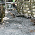 DSCN1981