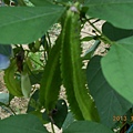 DSCN2095
