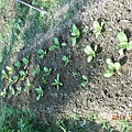 DSCN1670