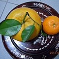 DSCN1140