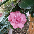 DSCN2202