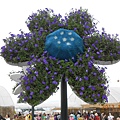 DSCN2218