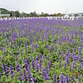 DSCN2200