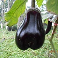 DSCN2480