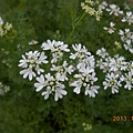 DSCN2649