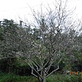 DSCN2730