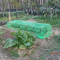 DSCN2801