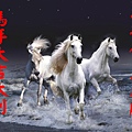 馬-8