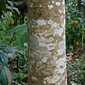 DSCN3070