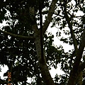 DSCN3074