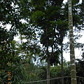 DSCN3072